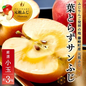 yӂ邳Ɣ[ŁztƂ炸Tӂ I  3kg ƒp(󂠂) XYS XьyzsnFEꌧzy1278838z