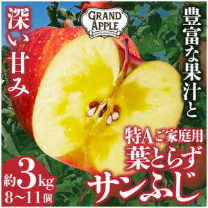 yӂ邳Ɣ[Łz炲ƃob!tƂ炸Tӂ@Aƒp 3kgyzsnFEꌧzy1353849z