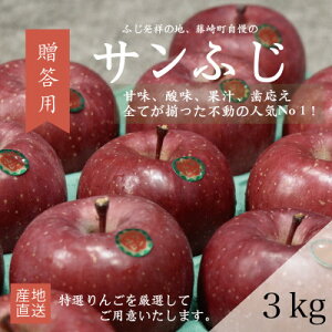 【ふるさと納税】【産地直送】サンふじ 贈答用約3kg(7〜10個)【配送不可地域:離島・沖縄県】【1361566】
