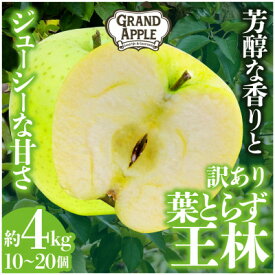 【ふるさと納税】「王林」訳あり約4kg【配送不可地域：離島・沖縄県】【1442055】