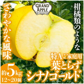 【ふるさと納税】シナノゴールド　特Aご家庭用　約5kg(12～20個)【配送不可地域：離島・沖縄県】【1552609】