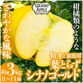 【ふるさと納税】シナノゴールド　特Aご家庭用　約3kg(8～11個)【配送不可地域：離島・沖縄県】【1552616】