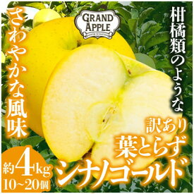 【ふるさと納税】シナノゴールド　訳あり　約4kg(10～20個)【配送不可地域：離島・沖縄県】【1552668】