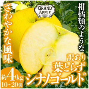 yӂ邳Ɣ[ŁzVimS[h@󂠂@4kg(10`20)yzsnFEꌧzy1552668z