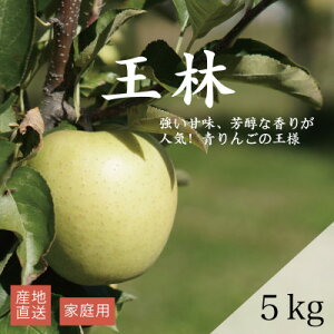 【ふるさと納税】【産地直送】「王林」りんご 家庭用 5kg(12〜20個)【配送不可地域:離島・沖縄県】【1667204】