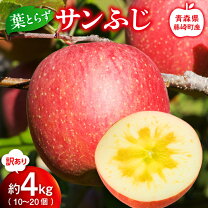 楽天市場】青森 岩木 山 りんごの通販