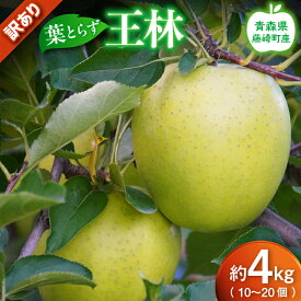 【ふるさと納税】【先行予約】王林 訳あり 約4kg（10〜20個）りんご リンゴ 林檎 王林 訳あり 家庭用 青森県産 果物 フルーツ F41-0026