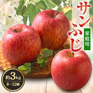 yӂ邳Ɣ[ŁzTӂ ƒp 3kg(8`12)yzsnFEꌧzy1240453z