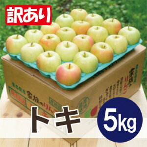 yӂ邳Ɣ[Łzϓx13xȏ! gL 5kg 󂠂yzsnFEꌧzy1667894z