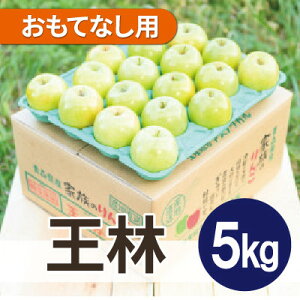 【ふるさと納税】【25年12月より順次発送】平均糖度13度以上! 王林 約5kg おもてなし用【配送不可地域:離島・沖縄県】【1667930】