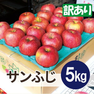 yӂ邳Ɣ[Łzy25N11菇zϓx13xȏ! Tӂ 5kg 󂠂yzsnFEꌧzy1667951z