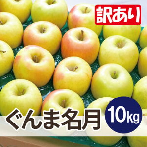 yӂ邳Ɣ[Łzϓx13xȏ! ܖ 10kg 󂠂yzsnFEꌧzy1667960z