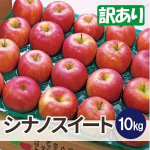 【ふるさと納税】平均糖度13度以上! シナノスイート 約10kg 訳あり【配送不可地域:離島・沖縄県】【1667963】