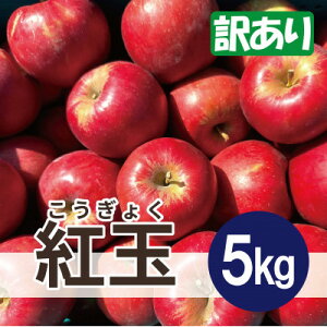 【ふるさと納税】紅玉 約5kg 訳あり【配送不可地域:離島・沖縄県】【1667970】