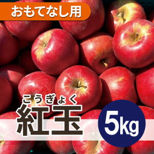 【ふるさと納税】紅玉 約5kg おもてなし用【配送不可地域:離島・沖縄県】【1667973】