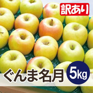 yӂ邳Ɣ[Łzy25N12oח\zϓx13xȏ! ܖ 5kg 󂠂yzsnFEꌧzy1668014z