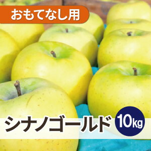 【ふるさと納税】平均糖度13度以上! シナノゴールド 約10kg おもてなし用【配送不可地域:離島・沖縄県】【1668093】