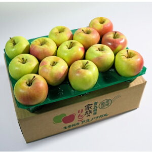 yӂ邳Ɣ[Łzy2025N12\zx13xȏۏ!ܖĂȂp3kg(6`18)yzsnFzy1683023z