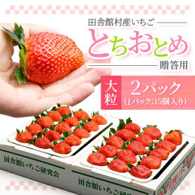 【ふるさと納税】田舎館村産いちご とちおとめ【大粒】 贈答用【配送不可地域：離島】【1637919】