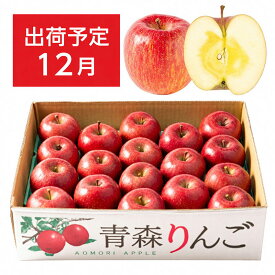 【ふるさと納税】12月 特A 蜜入り サンふじ 約5kg 糖度13度以上【青森りんご・マルコウアップル】 果物類 林檎 リンゴ 　お届け：2026年12月1日～2026年12月31日