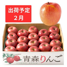 【ふるさと納税】2月 訳あり 家庭用 濃厚サンふじ 約5kg 糖度13度以上【青森りんご・マルコウアップル】 果物類 林檎 リンゴ 　お届け：2027年2月1日～2027年2月28日
