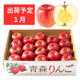 【ふるさと納税】1月 特A 蜜入りサンふじ 約5kg　糖度13度以上 【青森りんご・マルコウアップル】 果物類 林檎 リンゴ 　お届け：2027年1月中