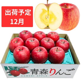 【ふるさと納税】12月 特A 蜜入りサンふじ約3kg　糖度13度以上 【青森りんご・マルコウアップル】 果物類 林檎 リンゴ フルーツ 　お届け：2026年12月1日～2026年12月31日