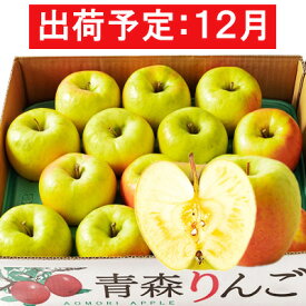 【ふるさと納税】12月 贈答規格 ぐんま名月約5kg　糖度13度以上【青森りんご・マルコウアップル】 果物類 果物 フルーツ 幻のりんご ジューシー 　お届け：2026年12月1日～2026年12月31日