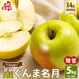 【ふるさと納税】11月 贈答規格 完熟 大玉 ぐんま名月約5kg（12～16個）14度 糖度 保証 蜜入り りんご 果物 フルーツ ジューシー ゆうきアップル 青森県 板柳町　お届け：2026年11月20日～2026年12月20日
