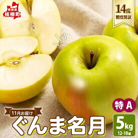 【ふるさと納税】11月 特A 完熟 ぐんま名月約5kg（12～18個）14度 糖度 保証 りんご 果物 フルーツ ジューシー ゆうきアップル 青森県 板柳町　お届け：2026年11月20日～2026年12月20日