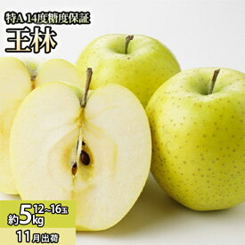【ふるさと納税】11月 特A王林約5kg（12～16個）14度糖度保証【青森りんご・ゆうきアップル・11月】 果物類 フルーツ 果物 代表品種 　お届け：2025年11月20日～2025年12月20日