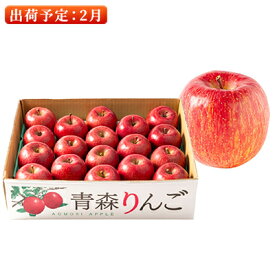 【ふるさと納税】2月 特A 濃厚サンふじ約5kg　糖度13度以上【青森りんご・マルコウアップル】 果物類 フルーツ 果物 　お届け：2027年2月1日～2027年2月28日