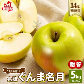 【ふるさと納税】11月 贈答規格 ぐんま名月約5kg（18～20玉）14度 糖度 保証 蜜入り りんご 果物 フルーツ ジューシー ゆうきアップル 青森県 板柳町　お届け：2026年11月20日～2026年12月20日