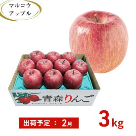 【ふるさと納税】【2月発送】訳あり 家庭用 濃厚サンふじ 約3kg 糖度13度以上【青森りんご・マルコウアップル】 リンゴ 林檎 フルーツ 果物 訳アリ 　お届け：2027年2月上旬～