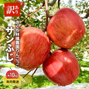 �y�ӂ邳�Ɣ[�Łz�y�N�������z�������ь�_����񂲂��� �ƒ�p ��� �T���ӂ� �󂠂� ��10kg�@���͂��F2025�N11��10���`2025�N12��30��