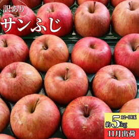 【ふるさと納税】11～12月 訳ありサンふじ約5kg（12～18玉）糖度13度保証 　お届け：2025年11月20日～2025年12月20日