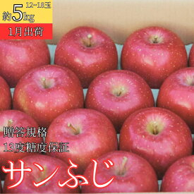【ふるさと納税】1月 贈答規格 サンふじ約5kg（12～18個）13度糖度保証【青森りんご・ゆうきアップル・1月】 　お届け：2026年1月10日～2026年1月25日