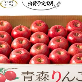 【ふるさと納税】【12月発送】 特A 濃厚サンふじ約5kg　糖度13度以上【青森りんご・マルコウアップル】 　お届け：2026年12月1日～2026年12月30日
