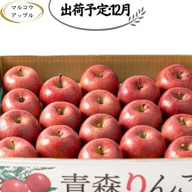 【ふるさと納税】【12月発送】 家庭用濃厚サンふじ約5kg　糖度13度以上【訳あり】青森津軽りんご 　お届け：2026年12月1日～2026年12月30日