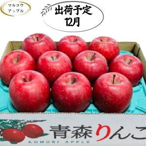 yӂ邳Ɣ[Łzy12zA ZTӂ3kg@x13xȏyX񂲁E}REAbvz @͂F2025N121`2025N1230