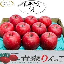 【ふるさと納税】【1月発送】特A 濃厚サンふじ約3kg 糖度13度以上【青森りんご・マルコウアップル】 　お届け：2027年1月6日～2027年1月31日
