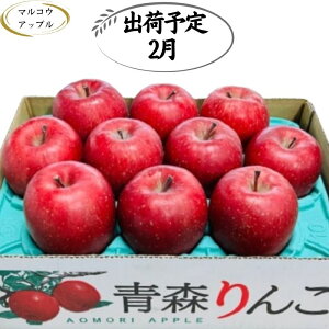 yӂ邳Ɣ[Łzy2zA ZTӂ3kg x13xȏyX񂲁E}REAbvz @͂F2026N21`2026N228