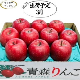 【ふるさと納税】【3月発送】特A 濃厚サンふじ約3kg 糖度13度以上【青森りんご・マルコウアップル】 　お届け：2027年3月1日～2027年3月31日