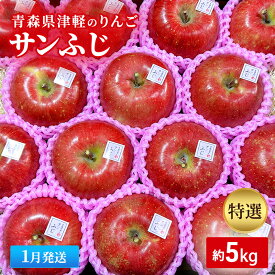 【ふるさと納税】【1月発送】【里いちみfarm】青森県津軽のりんご　特選「サンふじ」約5kg 　お届け：2027年1月8日～1月30日