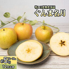 【ふるさと納税】12月 特A ぐんま名月約5kg（12～18個）14度糖度保証【青森りんご・ゆうきアップル・12月】 果物類 フルーツ 果物　お届け：2026年11月15日～2026年12月30日