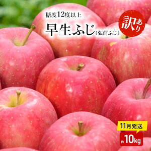 yӂ邳Ɣ[Łz y 11 z( x12xȏ ) 󂠂i ƒp ӂ ( OOӂ ) 10kg y X ʕ  ̂ꂽ I肷 x ƒp Â  ʏ` y