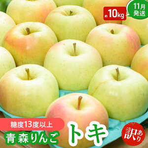 yӂ邳Ɣ[Łzy11zix13xȏj 󂠂i ƒp gL  10kg y X ʕ  ̂ꂽ I肷 x 12x ƒp Â  ʏ` y 엿 z@͂