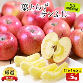 【ふるさと納税】りんご 【12月・1月発送】 蜜入り 糖度13度以上 おもてなし用 家庭用 葉とらず サンふじ 約 5kg 【 青森りんご 】 果物 フルーツ 産地直送 贈り物 年末 年始 挨拶　お届け：2026年12月上旬～2027年1月末