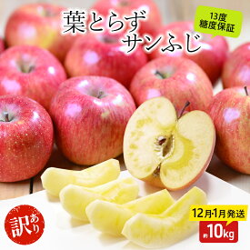 【ふるさと納税】りんご 【12月・1月発送】 蜜入り 糖度13度以上 訳あり品 家庭用 葉とらず サンふじ 約 10kg 【 青森りんご 果物 フルーツ デザート 食後 おやつ 産地直送 】　お届け：2026年12月上旬～2027年1月末