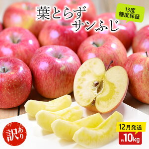 yӂ邳Ɣ[Łz y12E1z  x13xȏ 󂠂i ƒp tƂ炸 Tӂ  10kg y X ʕ t[c fU[g H  Yn z@͂F2025N12